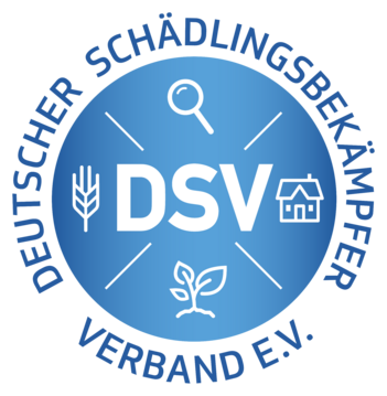 dsv logo